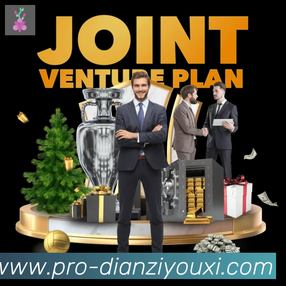 未来规划